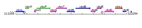 YbdA context.gif