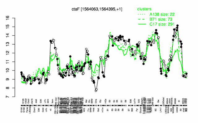 CtaF expression.png