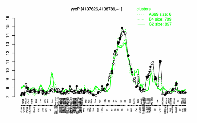 YycP expression.png