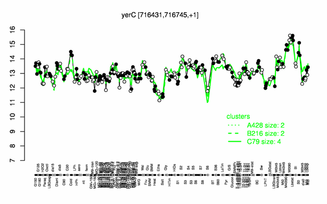 YerC expression.png