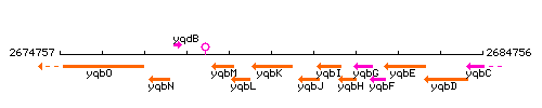 YqbK context.gif