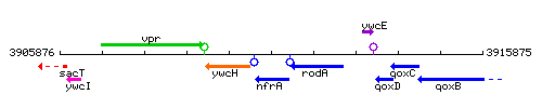 NfrA context.gif