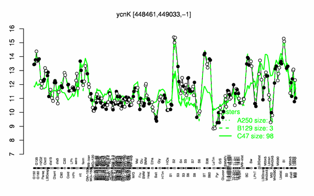 YcnK expression.png