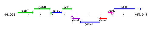 YcnI context.gif