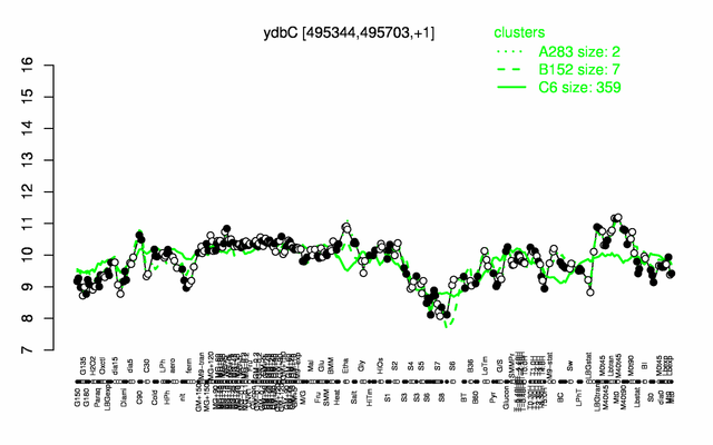 YdbC expression.png