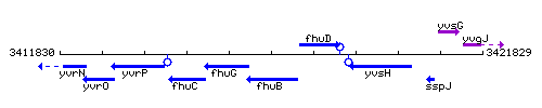 FhuB context.gif