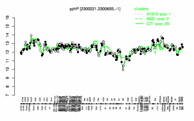 YphP expression.png