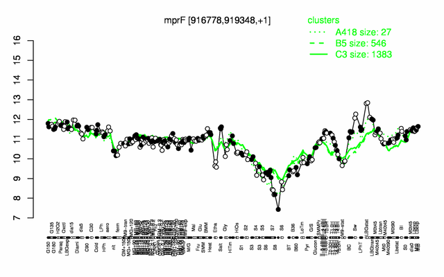 MprF expression.png