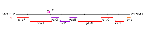 YqzB context.gif