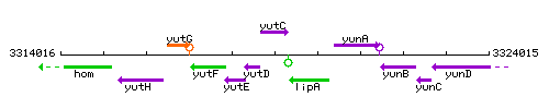 YutC context.gif