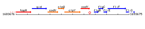 ClpY context.gif