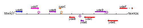 YdeB context.gif