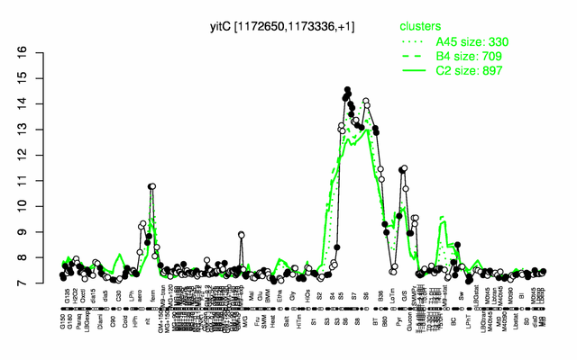 YitC expression.png