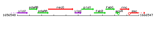 YlpC context.gif