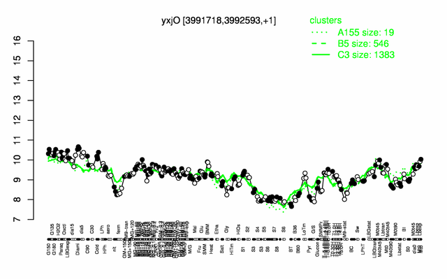 YxjO expression.png