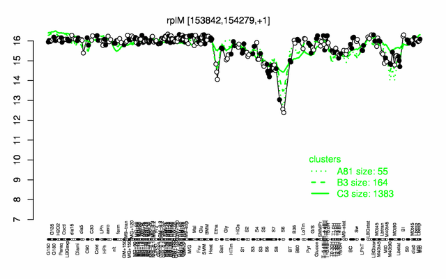 RplM expression.png