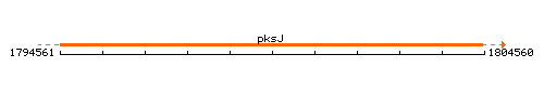 PksJ context.gif