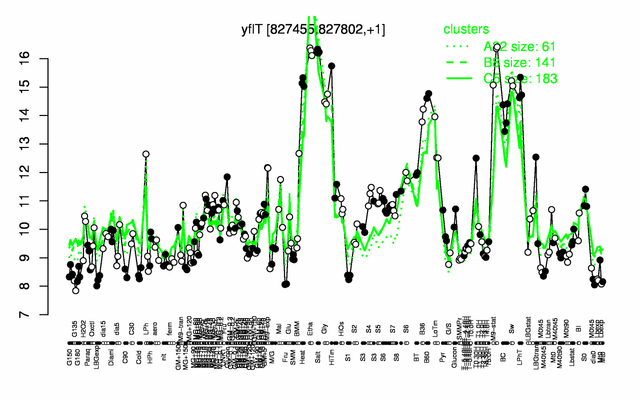 YflT expression.png