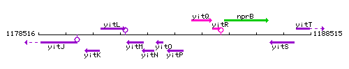 YitP context.gif