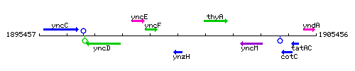 YnzH context.gif