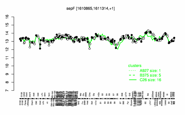 SepF expression.png