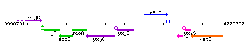 YxjB context.gif