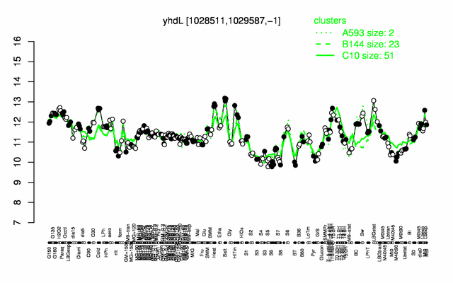 YhdL expression.png