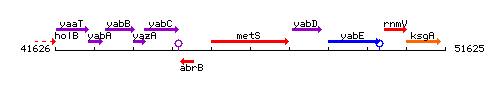 MetS context.gif