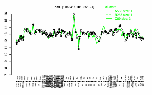 NsrR expression.png