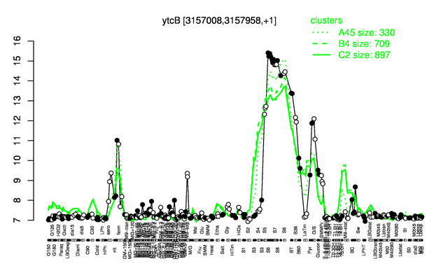 YtcB expression.png