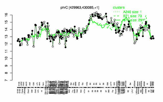 PhrC expression.png