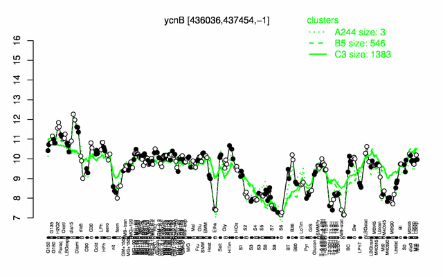 YcnB expression.png