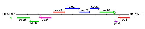 MsmE context.gif