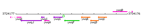 YwqF context.gif