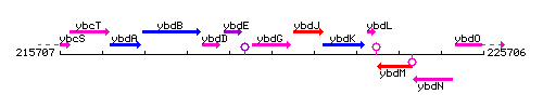 YbdG context.gif