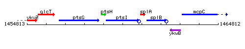 PtsI context.gif