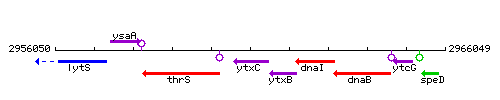 YtxC context.gif