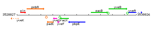 PbpE context.gif