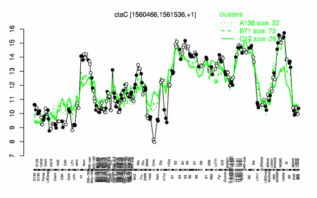 CtaC expression.png