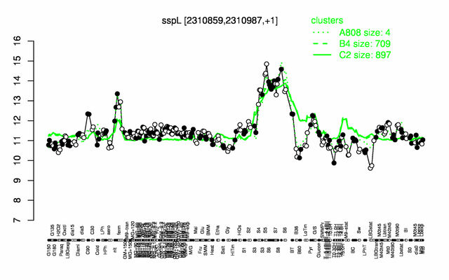 SspL expression.png