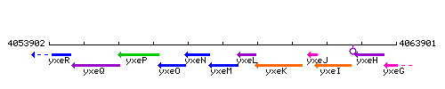 YxeM context.gif