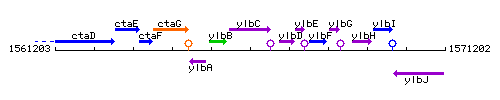 YlbC context.gif