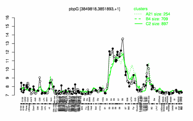 PbpG expression.png