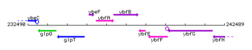 YbfB context.gif